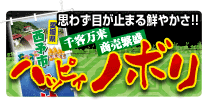 オリジナルのぼり ハッピィノボリ 思わず目が止まる鮮やかさ!!