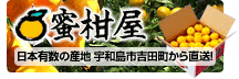 蜜柑屋 愛媛 みかん 通信販売
