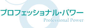 プロフェッショナル・パワー(Professional Power)