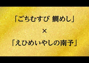 「ごちむすび鯛めし」&「えひめ南予きずな博」PR動画