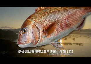 「ごちむすび鯛めし」&「えひめ南予きずな博」PR動画