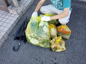 今回の収集物.jpg